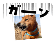 852283187