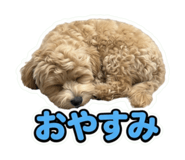 852283338
