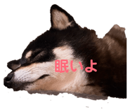 852283385
