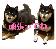 852283389