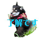 852283392