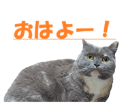852283507