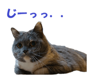 852283508