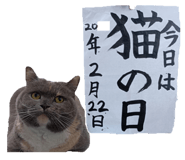 852283509