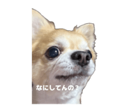 852284946