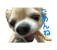 852284948