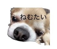 852284957