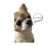 852284959