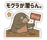 852286054