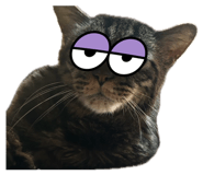 852286933