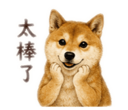 852290230