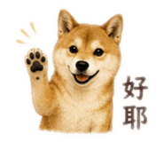 852290231