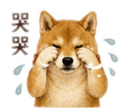 852290233