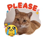 852291017