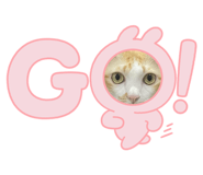 852291019
