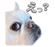 852293533