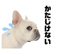 852293538