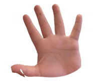 852293802