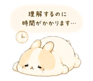 852296025