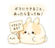 852296030