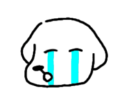 852296239