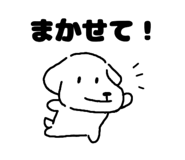 852296243