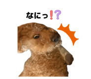 852296486