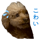 852296510
