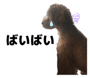 852296519