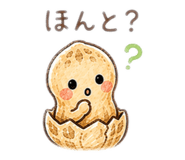 852296610