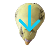 852298250