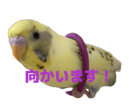 852298251