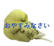 852298252