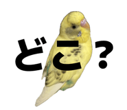 852298254