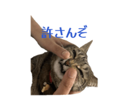 852298538