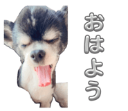 852298757