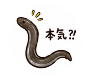 852298777