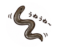 852298780