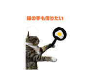 852298946