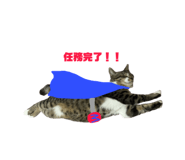 852298947