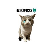 852298948