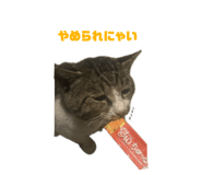 852298950