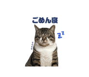 852298953