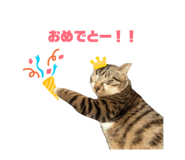 852298954