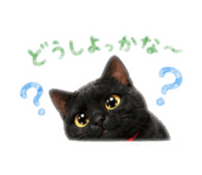 852300032