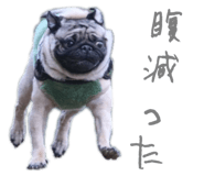 852300053