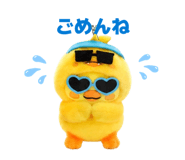 852300079