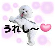 852300111
