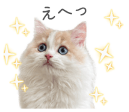 852300128