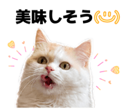 852300137
